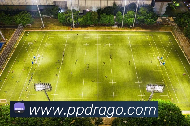 平台展示图